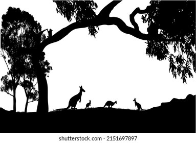 silhouette of kangaroos with a large gum tree and a koala sitting in the tree