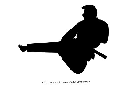 silhouette of Karate man kicking vector illustration