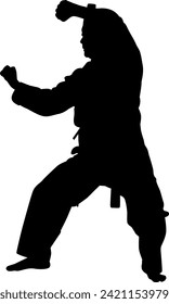 silhouette karate man on white background