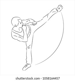 Silhouette of a karateka doing standing side kick .Vector graphics .Vector illustration