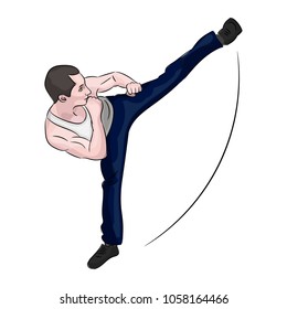 Silhouette of a karateka doing standing side kick .Vector graphics .Vector illustration