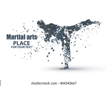 Silhouette of a karateka doing standing side kick .Vector graphics composed of particles.