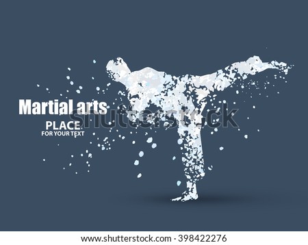 Silhouette of a karateka doing standing side kick .Vector graphics composed of particles.