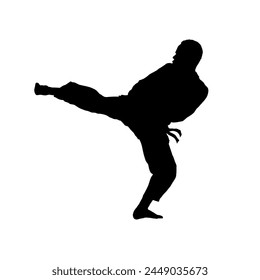 silhouette of karateka, karate fighter - vector illustration	