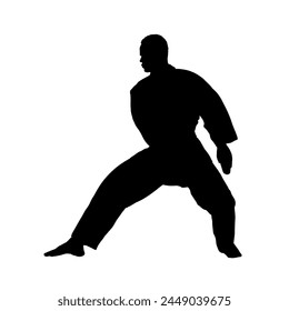 silhouette of karateka, karate fighter - vector illustration	