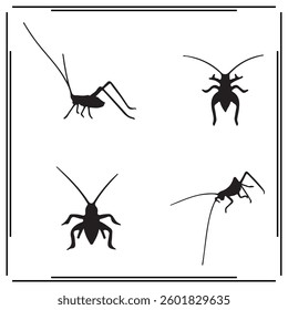 Silhouette of Katydid vector illustration on white background.
