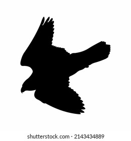 the silhouette of a kestrel on a white background