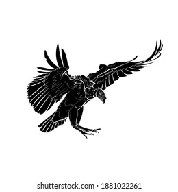 Silhouette of the king vulture (Sarcoramphus papa). Black and white illustration. Vector.