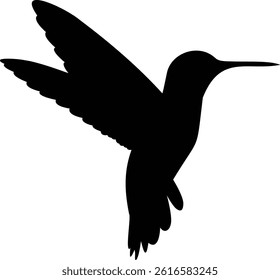 Silhouette Kingfisher Bird flying Position