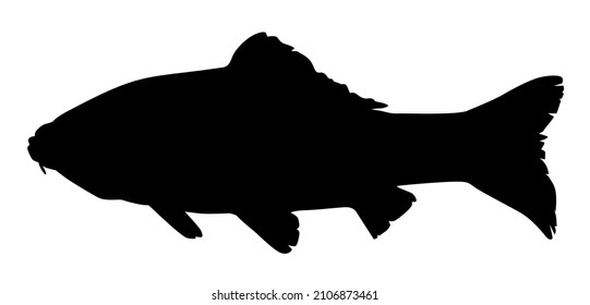 silueta de una carpa koi ilustración vectorial