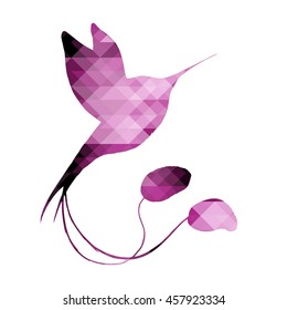 Silhouette of kolibri 
