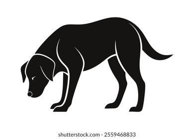 silhouette of a Labrador Retriever sniffing the ground attentively.