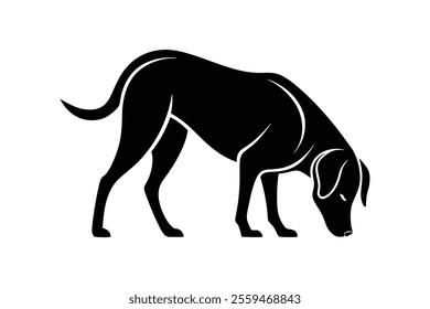 silhouette of a Labrador Retriever sniffing the ground attentively.