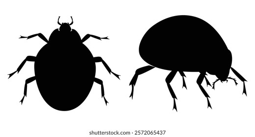 Silhouette of Ladybugs on Leaves and Branches