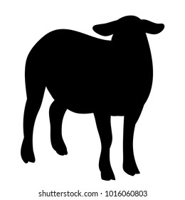 silhouette of a lamb