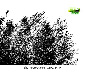 The silhouette of the landscape of nature. Windy weather. Leaves of birches. Vector illustration