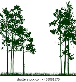 silhouette landscape with pine trees and grass, nature background, green forest, hand drawn vector illustration