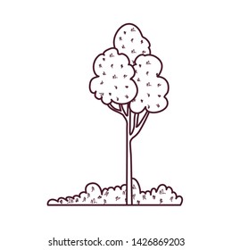 silhouette of landscape with trees and plants