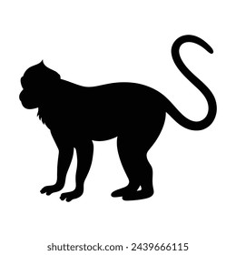 silueta de una langur sobre fondo blanco