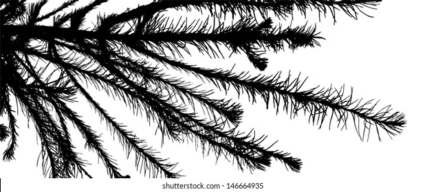 silhouette of the larch