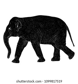 Silhouette large African elephant on a white background