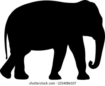 Silhouette large African elephant on a white background