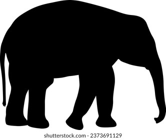 Silhouette large African elephant on a white background.