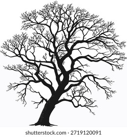 Silhouette eines großen Bare Tree mit komplizierten Verzweigungen auf weißen Zweigen Winter