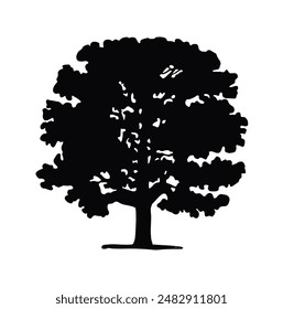 Silhouette of a large deciduous tree, Oak. black