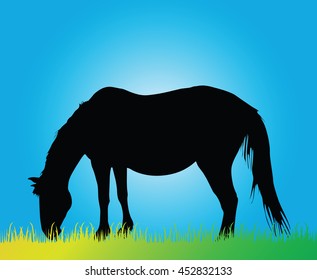 Silhouette of Large Horse Grazing vector illustration
