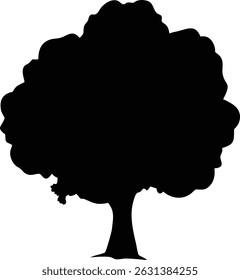 Silueta De Un Grande Roble Con Diseño De Ramas En Expansión
