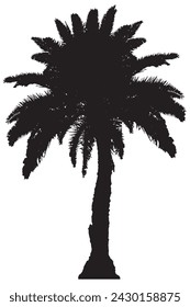 Silhouette of a large and large oil palm or Elaeis guineensis, an abstract background pattern of a tropical tree. vector illustration