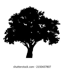 Silhouette of a large tree with a wide, spreading crown. For nature apps and websites. Protection of nature and ecology. Vector illustration isolated on white background.