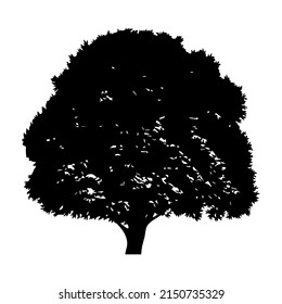Silhouette of a large tree with a wide, spreading crown. For nature apps and websites. Protection of nature and ecology. Vector illustration isolated on white background.