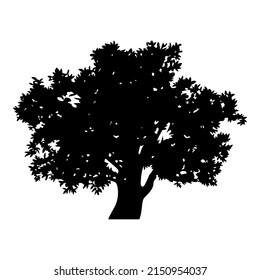 Silueta de un gran árbol con una corona ancha y extendida. Para aplicaciones y sitios web de naturaleza. Protección de la naturaleza y la ecología. Ilustración vectorial aislada en fondo blanco.