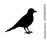 silhouette of a lark bird on white