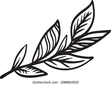 Silhouette of laurel branch with leaves, vector linear drawing