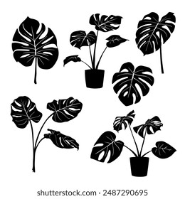 silhouette leaf design, vector illustration leaf collection