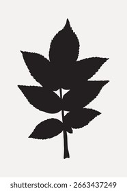 Silhouette of a leaf with multiple pointed edges. Black leaf silhouette on a white background. Simple leaf design, perfect for nature-themed projects. Botanical vector.