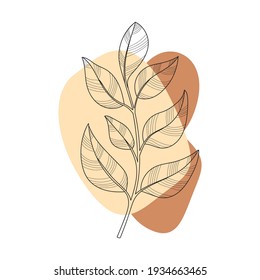 Silhouette of a leaf on an abstract background. Beautiful hand-drawn design