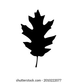 silhouette leaf on white background. vector illustration