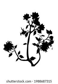 silhouette of a leaf tree with roots vector illustration isolated on a white background