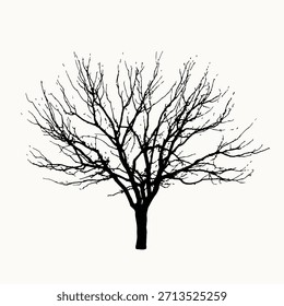 Silhouette eines blattlosen Baumes. Baumzweige breiten sich aus. Schwarzer Baum auf weißem Hintergrund. Minimalistisches Baumdesign. ฺ Silhouette, stark und einfach. Winter-Illustrationsvektor.