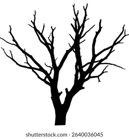 Silhouette of a leafless winter tree branches