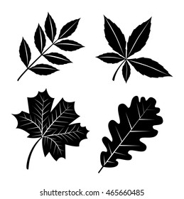 Silhouette of Leaves