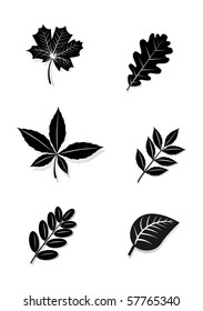 Silhouette of Leaves