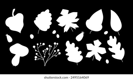 Silhouette leaves autumn fall isolated set concept. Vector flat graphic design cartoon illustration