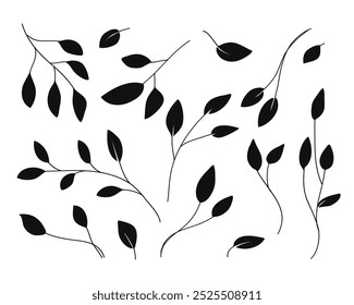 Silhouette Leaves Branch and Floral Plants Collection.Vector illustration