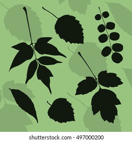 Silhouette of leaves of different species of trees on a green background. Stock vector illustration for design.