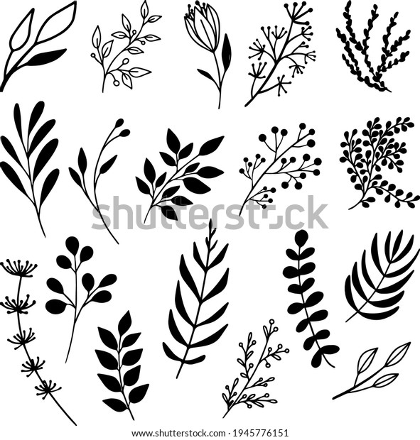 Silhouette Leaves Flowers Line Style Doodle Stock Vector (Royalty Free ...